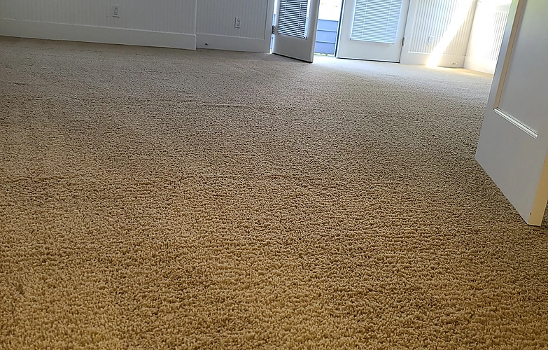 Carpet Restoration
