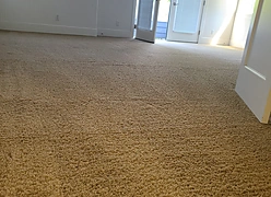 Carpet Restoration
