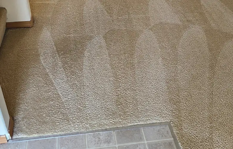 Pet Damage Treatment